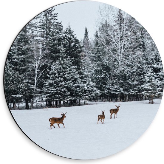 WallClassics - Dibond Muurcirkel - Herten Wandelend in de Sneeuw - 30x30 cm Foto op Aluminium Muurcirkel (met ophangsysteem)