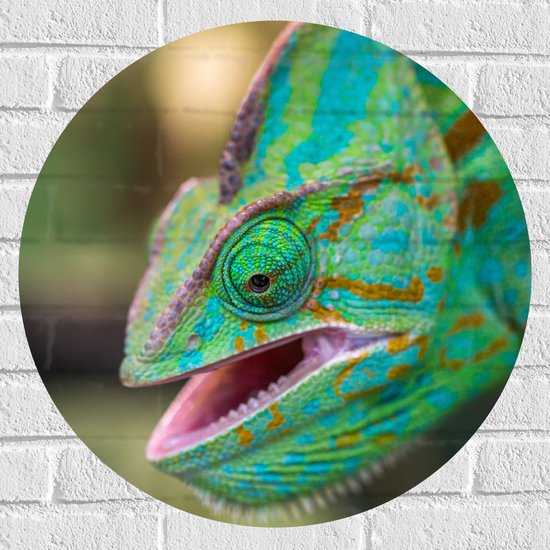 WallClassics - Muursticker Cirkel - Groene Kameleon - 60x60 cm Foto op Muursticker