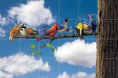 IXXI Birds - Wanddecoratie - Dieren en insecten - 120 x 80 cm