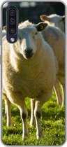 Geschikt voor Samsung Galaxy A50 hoesje - Schapen - Dieren - Wol - Siliconen Telefoonhoesje