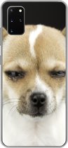 Geschikt voor Samsung Galaxy S20 Plus hoesje - Hond - Huisdieren - Portret - Siliconen Telefoonhoesje