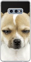 Geschikt voor Samsung Galaxy S10e hoesje - Hond - Huisdieren - Portret - Siliconen Telefoonhoesje