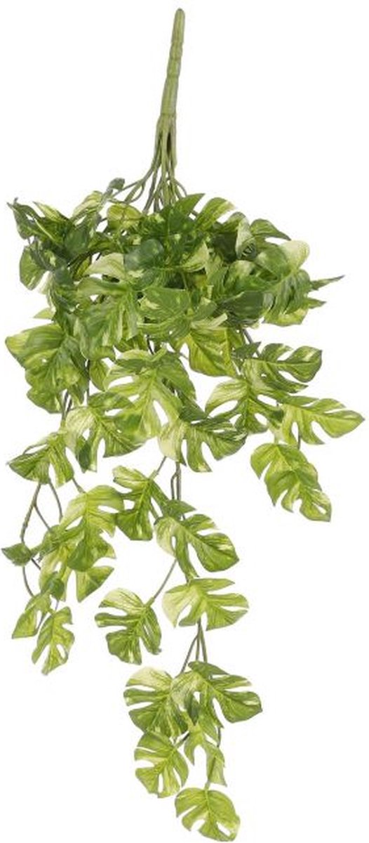 Mica Decorations Monstera Hangend Groen Bont - l58xb20xh14cm