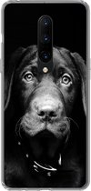 Geschikt voor OnePlus 7 Pro hoesje - Close-up labrador puppy tegen zwarte achtergrond in zwart-wit - Siliconen Telefoonhoesje