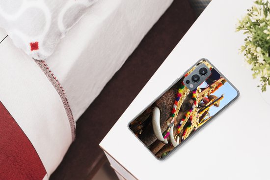 Telefoonhoesje Geschikt voor OnePlus Nord 2 5G hoesje - Olifant - Parade - Dieren - Siliconen Telefoonhoesje