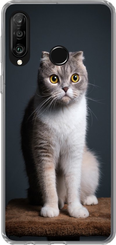 Telefoonhoesje Geschikt voor Huawei P30 Lite hoesje - Kat - Huisdieren - Licht - Siliconen Telefoonhoesje