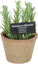 Esschert Design - Kunstplant Rosemarijn in pot AH012