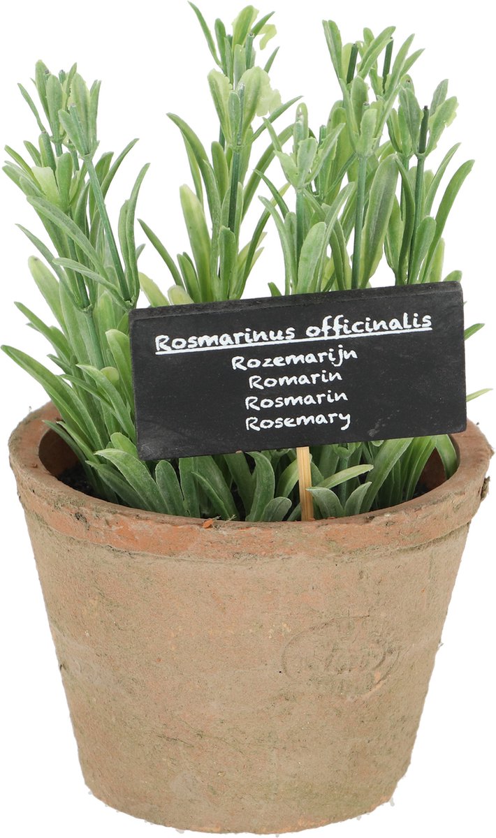 Esschert Design - Kunstplant Rosemarijn in pot AH012