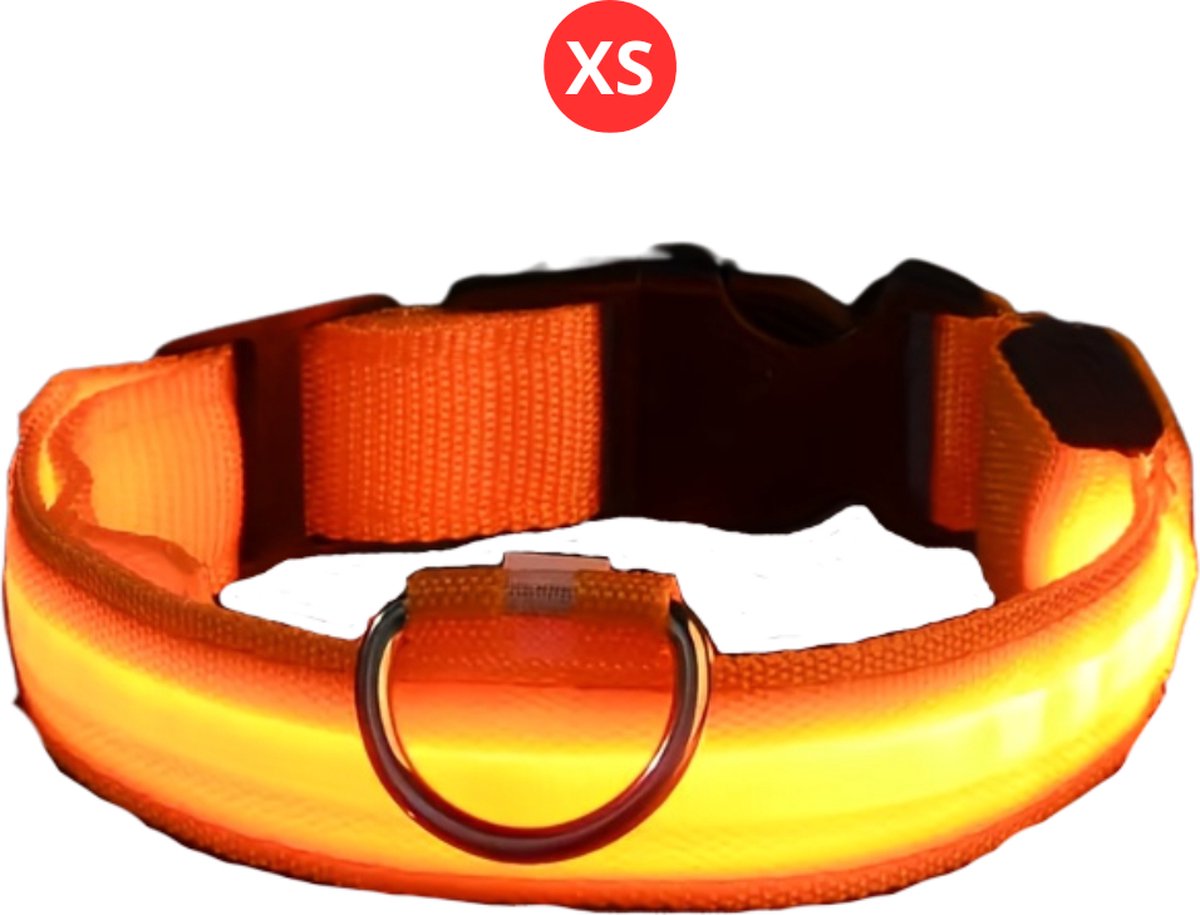 Livano Hondenhalsband Led - Lichtgevend - Verlichte Halsband - Lichtgevende Halsband - Hond - Kat - Lampje - Oplaadbaar - Oranje XS