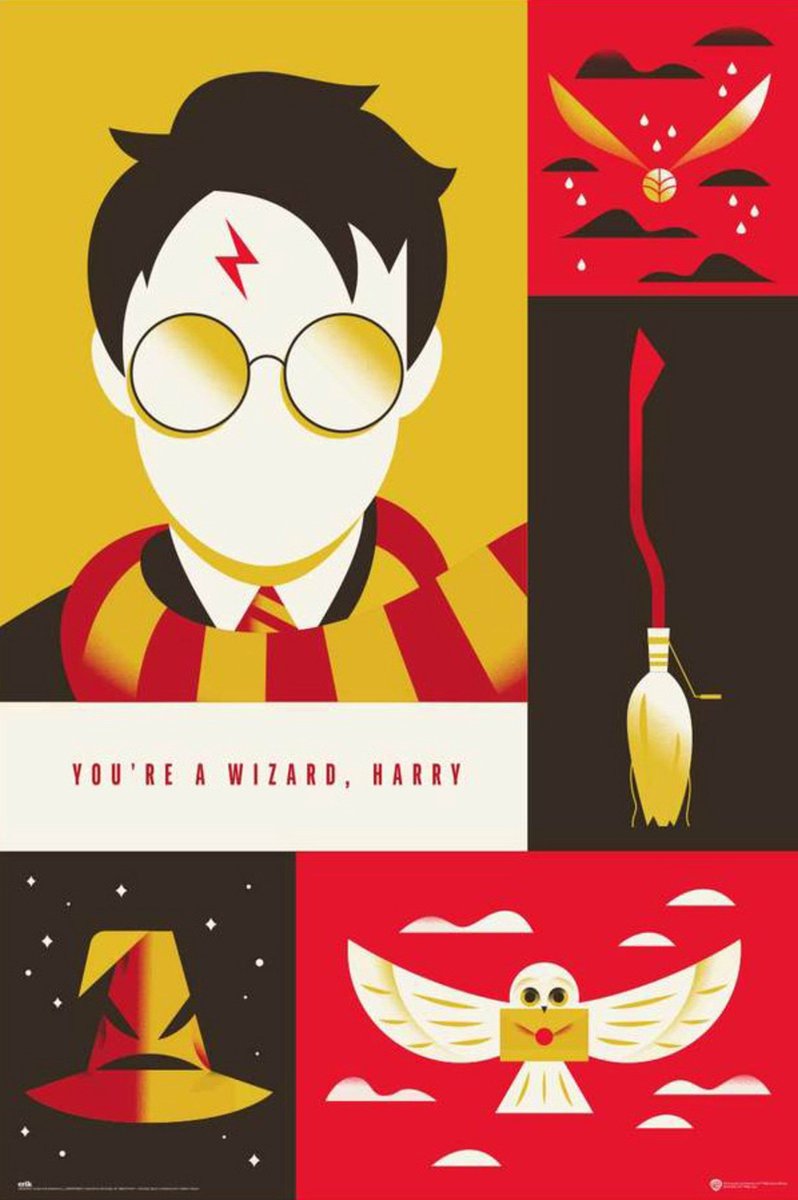 Grupo Erik Poster Harry Potter - 100th Anniversary WB 61x91,5cm Divers
