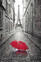 Poster Paris Umbrella Red 61x91,5cm