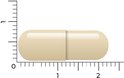 Een lichte, crème-kleurige capsule, gemeten met een liniaal.
