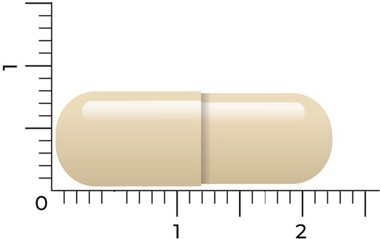 Een lichte, crème-kleurige capsule, gemeten met een liniaal.