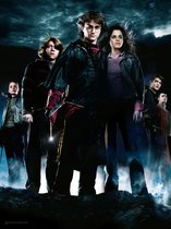 Harry Potter: The Goblet of Fire - Group 30 x 40 cm Glass Poster