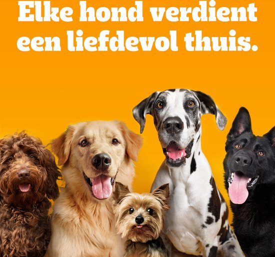 Pedigree Hondenbrokken - Junior - Gevogelte en Groenten - 12kg