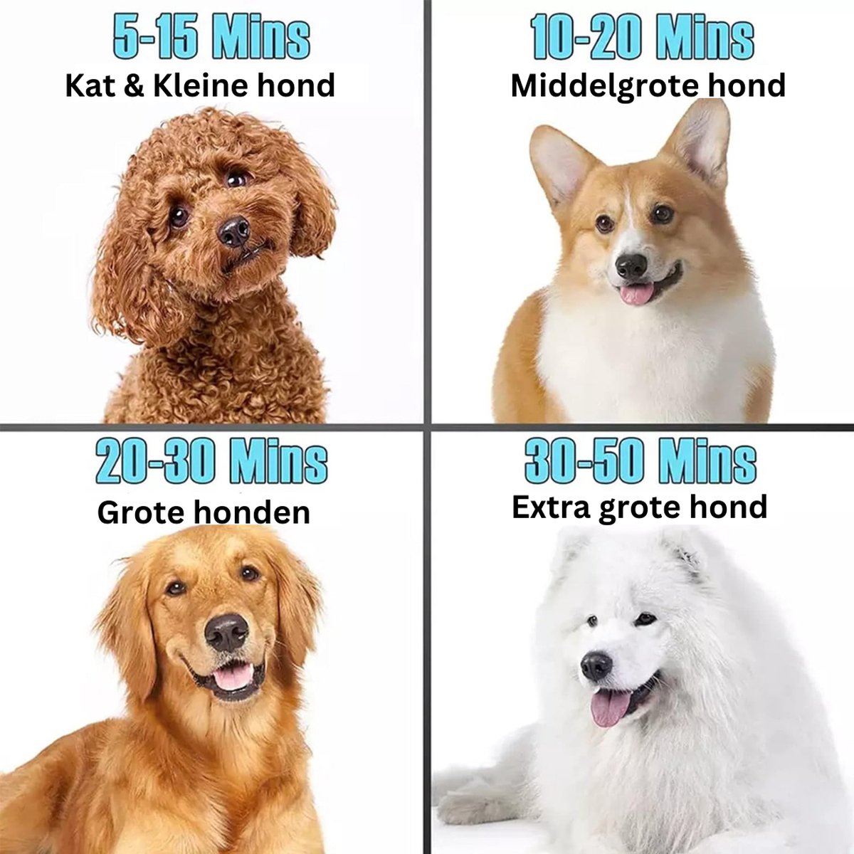 Hondenfohn - Professionele Hondenföhn met Instelbare Snelheid, 2800 W Power, Blauw Design