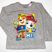 Paw patrol longsleeve grijs-Maat 122