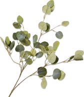 Silk-ka Kunstbloem-Zijden Bloem Eucalyptus Tak Groen 101 cm