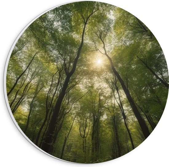 PVC Schuimplaat Muurcirkel - Bomen - Bos - Zon - Groen - 20x20 cm Foto op Muurcirkel (met ophangsysteem)