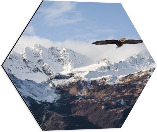 Dibond Hexagon - Bergen - Vogel - Adelaar - Sneeuw - 50x43.5 cm Foto op Hexagon (Met Ophangsysteem)