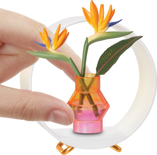 Oranje en roze vaas met Bird of Paradise bloemen in witte cirkelvormige display.