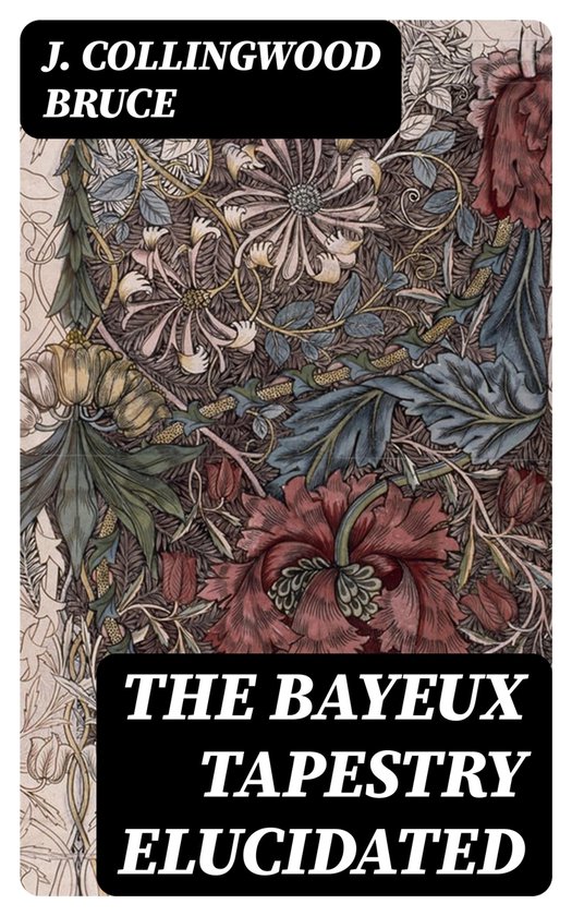 The Bayeux Tapestry Elucidated - cover
