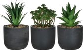 Plante artificielle en pot noir - 3 pièces