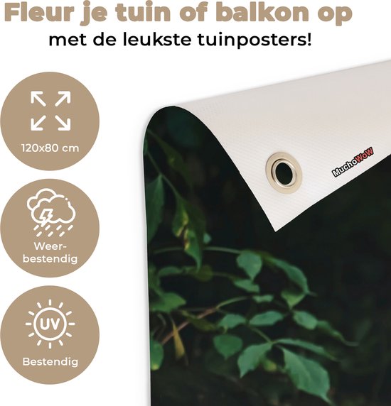Affiche de jardin - Toile de jardin - Posters de jardin extérieur - Animaux sauvages - Léopard - Jungle - Nature - 120x80 cm - Jardin