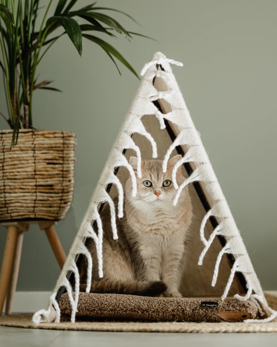 SMELEYOU 2-in-1 Kattenmand voor Binnen - Geweven Donut Bed 38 x 12 cm met Zacht Kussen - Krasbestendige Ronde Rieten Kitten Mand