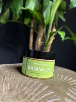 Pure Batana oil (120 ml) - haarolie - haarserum