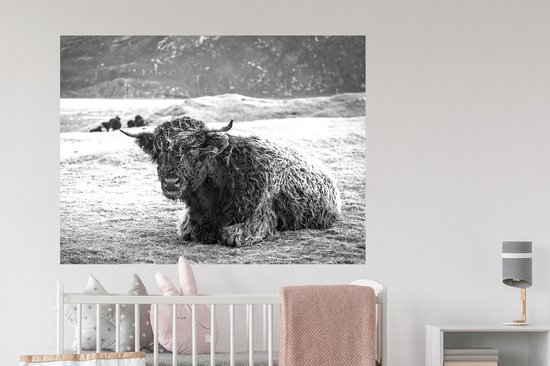 Stickers muraux - Film autocollant - Highlander écossais - Berg - Animaux - 120x90 cm - Film adhésif - Stickers muraux Chambre d'enfant - Papier peint autocollant