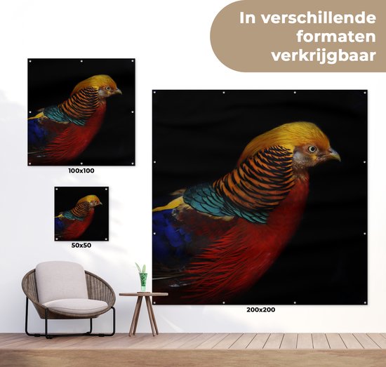 Affiche de jardin Faisan doré sur fond noir Toile en vrac 100x100 cm - Toile de jardin / Toile d'extérieur / Peintures d'extérieur (décoration de jardin)