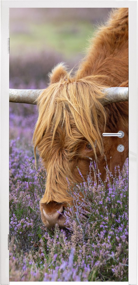 Deurposter 90x235 cm - Deursticker Schotse Hooglander - Dieren - Heide - Meubelfolie zelfk