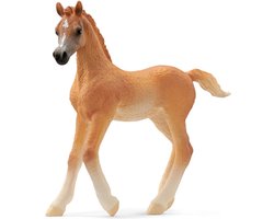 foto van schleich HORSE CLUB - Arabisch veulen - 13984