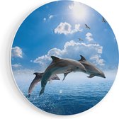 Artaza Forex Muurcirkel Dolfijnen Springen uit de Blauwe Zee - 70x70 cm - Wandcirkel - Rond Schilderij - Wanddecoratie Cirkel - Muurdecoratie