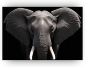 Éléphant - Peintures en Zwart et blanc - Peinture d'éléphant - Peinture rurale - Peintures sur toile - Oeuvre - 60 x 40 cm 18mm
