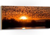 Hout - Dieren - Vogels - Planten - Zonsondergang - Water - 100x50 cm - 9 mm dik - Foto op Hout (Met Ophangsysteem)