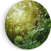 Artaza Forex Muurcirkel Tropische Jungle Met Zonneschijn - 50x50 cm - Klein - Wandcirkel - Rond Schilderij - Muurdecoratie Cirkel