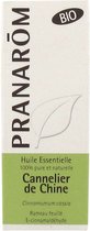 Pranarôm Essentiële Olie van Chinese Kaneel (Cinnamomum Cassia) Bio 10 ml
