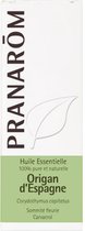 Pranarôm Spaanse Essentiële Oregano Olie (Corydothymus Capitatus) 5 ml