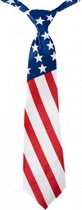 Stropdas vlag Verenigde Staten