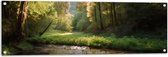 Tuinposter – Bos - Natuur - Water - Beekje - Stenen - Bomen - 120x40 cm Foto op Tuinposter (wanddecoratie voor buiten en binnen)