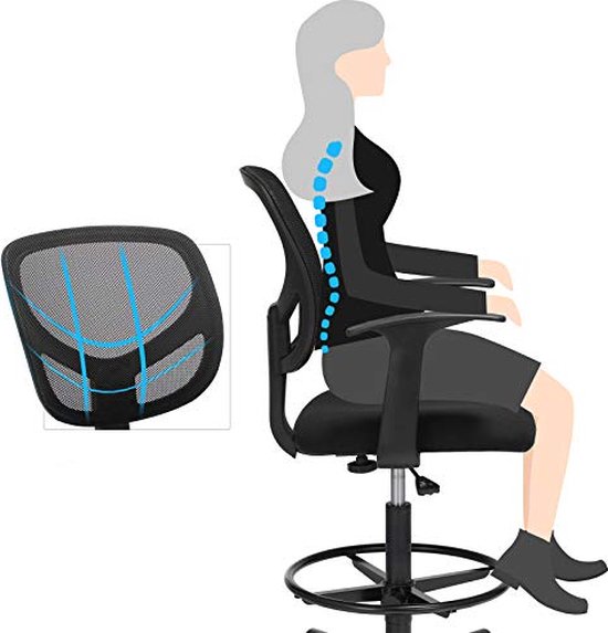 Ergonomische bureaustoel met armleuningen, hoogte 55-75 cm, capaciteit 120 kg