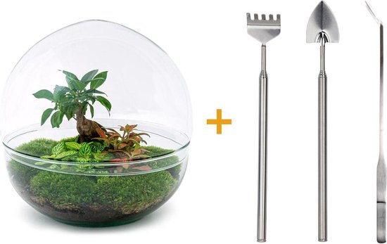 Planten
