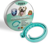 100% natuurlijke vlooienband voor honden - Turquoise - teken en vlooien - bevat géén schadelijke pesticiden als Fibronil, Flumetrine, Imidaclorid of Diazinon - geur halsband
