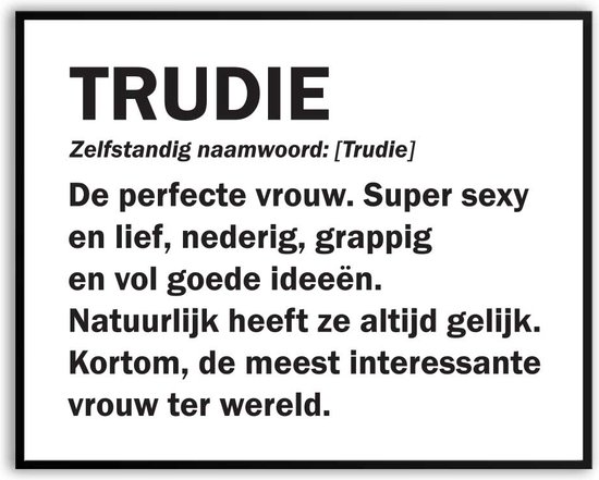 Trudie Woordenboek Fotolijst met glas 40 x 50 cm - Prachtige kwaliteit - jarig - verjaardag - kado - Canvas - incl ophangsysteem - Poster - Grappig - cadeau