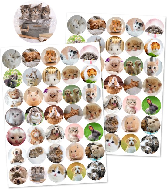 Foto: 2 stickervellen huisdieren dieren stickers huisdieren stickers stickervellen kind beloningsstickers beloningsstickers kinderen knutselen meisjes knutselen jongens