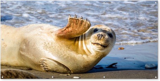 Schuttingposter Zeehond - Grappig - Zwaaien - Kinderen - Jongens - Meisjes - Kindje - 200x100 cm - Tuindoek