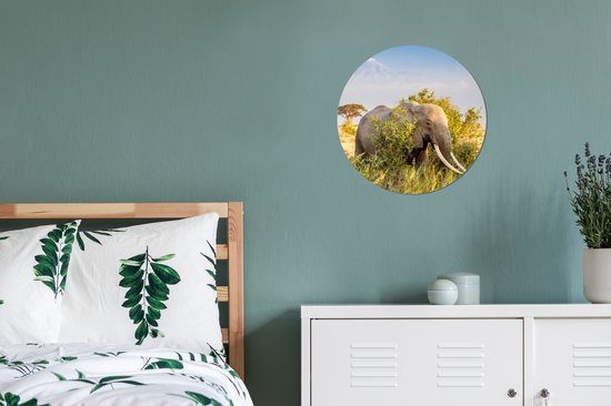 Wall Circle - Indoor Wall Circle - L'éléphant se cache derrière un buisson - ⌀ 30 cm - Décoration murale - Peintures ronds