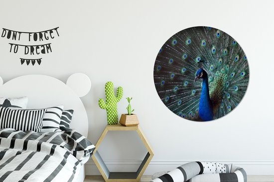 WallCircle - Cercle mural ⌀ 90 - Paon - Ressorts - Couleurs - Tableaux ronds salon - Plaque murale ronde - Cercle Décoration murale - Décoration chambre intérieur - Décoration murale - Accessoires de maison